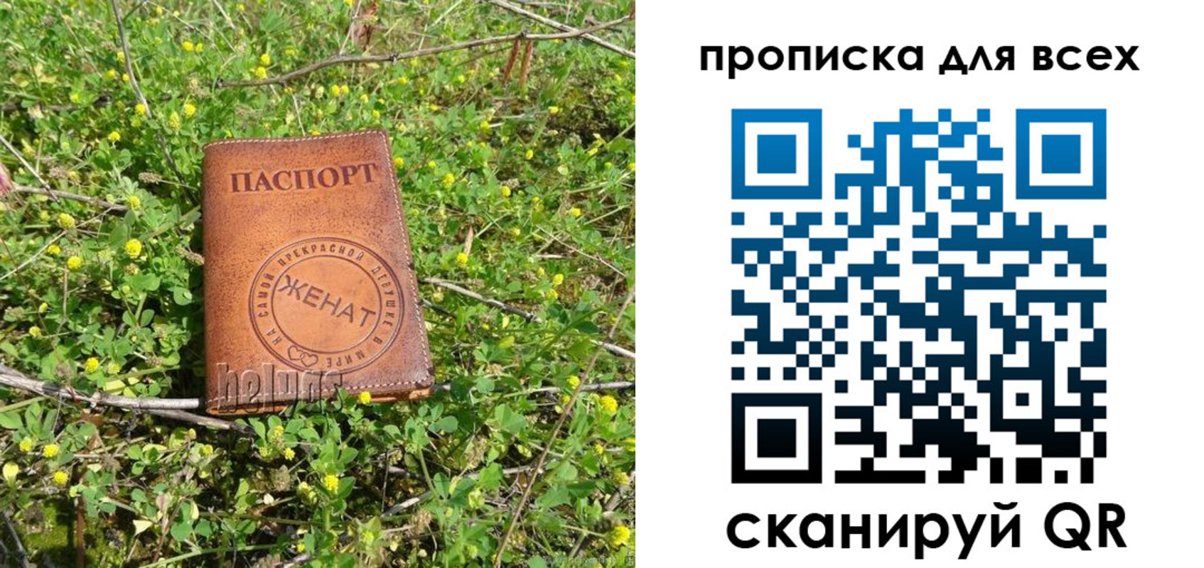 прописка поиск в Агрызе